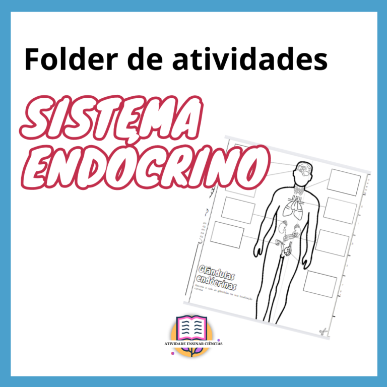 Folder de atividades Sistema endócrino Atividade Ensinar Ciências