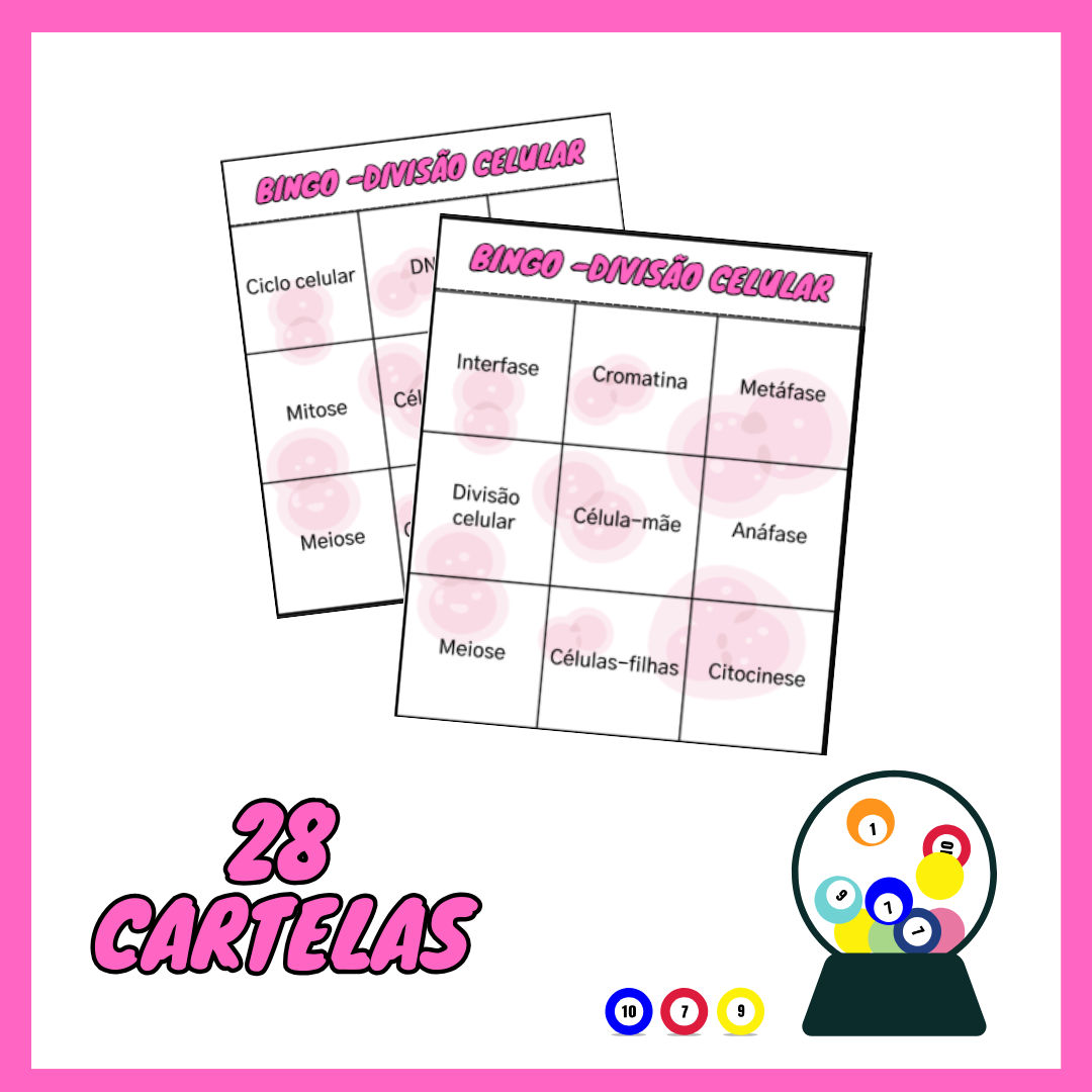 Bingo - divisão celular - Imagem 2